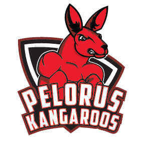 Pelorus Kangaroos Logo.PNG